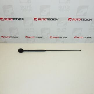 Antena kompletna Citroën C3 Pluriel 6561R7 656197