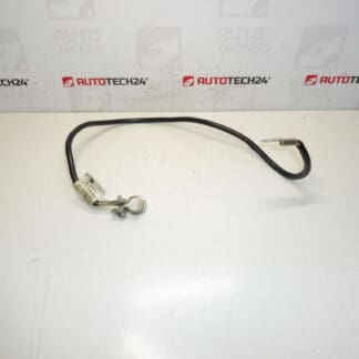 Kabel przyłączeniowy - biegun uziemiający Citroën Peugeot 1493958080 1483693080